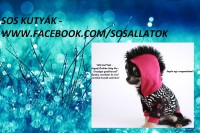 /album/sos-kutyak-fogadj-orokbe-2015/a0-25990180950701547-jpg/