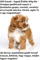 /album/sos-kutyak-fogadj-orokbe-2015/a7161a7d740bdf09f8adbd04e8d073a57-jpg/