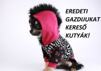 /album/sos-kutyak-fogadj-orokbe-2015/a10417624-1571899623132949-330859162223551615-n-jpg/