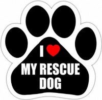 /album/sos-kutyak-fogadj-orokbe-2015/a41bnirj8nol-sx355-jpg/