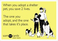 /album/sos-kutyak-fogadj-orokbe-2015/a35471c1f5f348acd54eec909c427bc79-jpg/