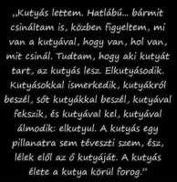 /album/sos-kutyak-fogadj-orokbe-2015/a1535087-1190928980932441-5476121597589058825-n-jpg/