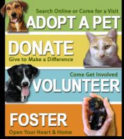 /album/sos-kutyak-fogadj-orokbe-2015/a7953343-1455269079-9506-funddescription-png/