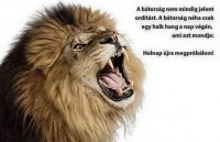 /album/sos-kutyak-fogadj-orokbe-2015/a10410238-1634838620090332-3680865030456188488-n-jpg/