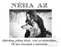 /album/sos-kutyak-fogadj-orokbe-2015/a10472727-1634591450115049-802585694397178241-n-jpg/