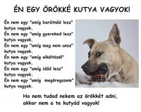 /album/sos-kutyak-fogadj-orokbe-2015/a10474665-1525021654487413-6339956594038401419-n-jpg/