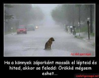 /album/sos-kutyak-fogadj-orokbe-2015/a10557173-1634837463423781-9090991153987793939-n-jpg/